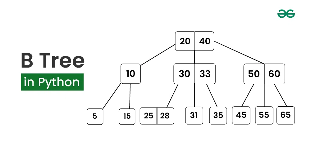 Tại sao B-Tree lại là "Vua" của Index trong Database?